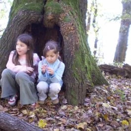 Cseppkő Panzió Abaliget - Környék