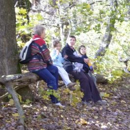 Cseppkő Panzió Abaliget - Környék