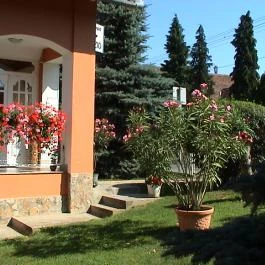 Cseppkő Panzió Abaliget - Medence/kert