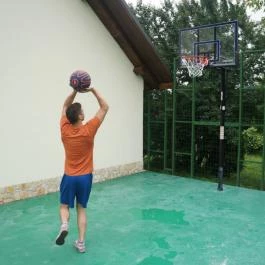 Molnár Vendégház Abaújvár - Egyéb