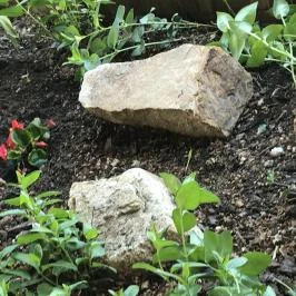 Kis Szárcsa Vendégház Agárd - Egyéb