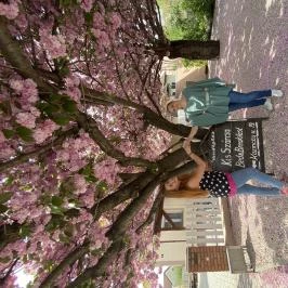 Kis Szárcsa Vendégház Agárd - Egyéb