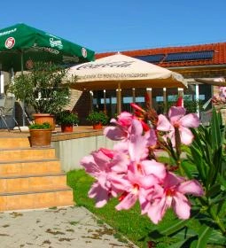 Pálmajor Pihenőpark & Rendezvényközpont