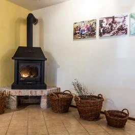 Simon Panzió Agárd - Egyéb