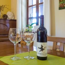 Simon Panzió Agárd - Egyéb