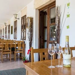 Simon Panzió Agárd - Egyéb