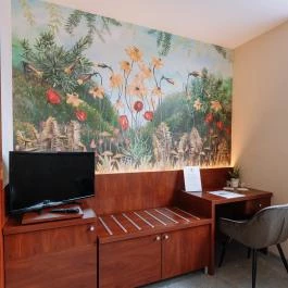 Vadvirág Panzió Ágfalva - Szobák