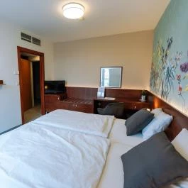 Vadvirág Panzió Ágfalva - Szobák