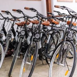 Vadvirág Panzió Ágfalva - 