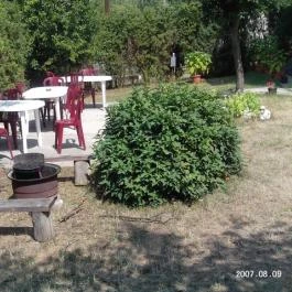 Boróka Vendégház Aggtelek - Medence/kert