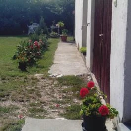 Boróka Vendégház Aggtelek - Medence/kert