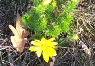 Panoráma Üdülő Aggtelek