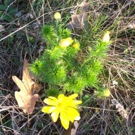 Panoráma Üdülő Aggtelek - Környék