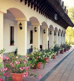 Halascsárda Panzió