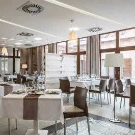 Levendula Hotel Algyő - Egyéb