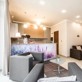 Levendula Hotel Algyő - Egyéb