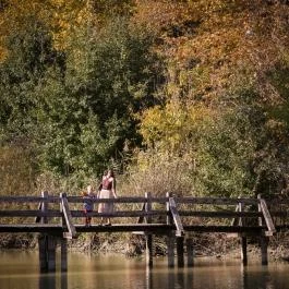 Sasréti Vadászkastély Almamellék - Egyéb