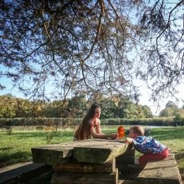 Sasréti Vadászkastély Almamellék - Egyéb