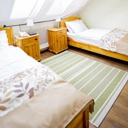 Sasréti Vadászkastély Almamellék - Egyéb