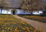 Álmosd - Kölcsey Ferenc Emlékház