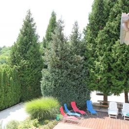 Mózer Wellness Vendégház Alsópáhok - Egyéb