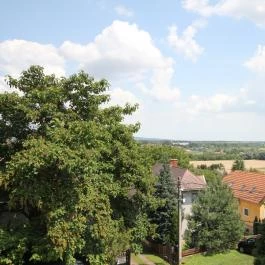 Mózer Wellness Vendégház Alsópáhok - Egyéb