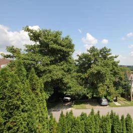 Mózer Wellness Vendégház Alsópáhok - Egyéb