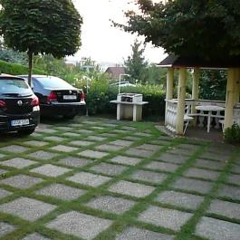 Villa-Erika Apartman Alsópáhok - Medence/kert