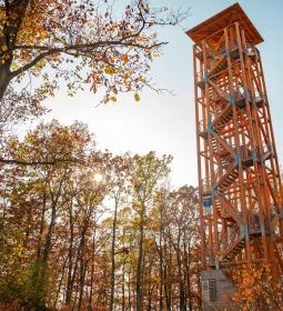 32. legjobb látnivaló: Prónay-kilátó