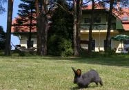 Apát Hotel Apátistvánfalva