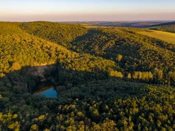 Apc - Apci tengerszem