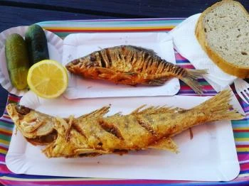 Aszófői Halsütő Aszófő