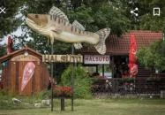 Aszófői Halsütő Aszófő