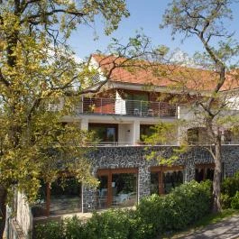 Hotel Bonvino Wine & Spa Badacsony - 