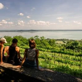 Hotel Bonvino Wine & Spa Badacsony - Egyéb