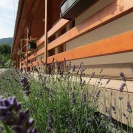 Hotel Halászkert Badacsony - Külső kép