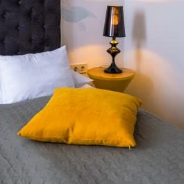 Neptun Badacsony Badacsony - Egyéb