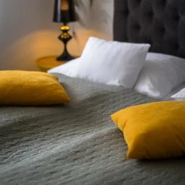 Neptun Badacsony Badacsony - Egyéb