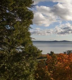 32. legjobb látnivaló: Folly Arborétum