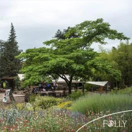 Folly Arborétum Badacsonyörs - Egyéb