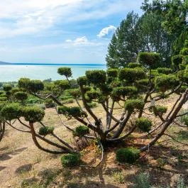 Folly Arborétum Badacsonyörs - Egyéb