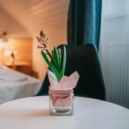 Borbarátok Panzió Badacsonytomaj - Szobák