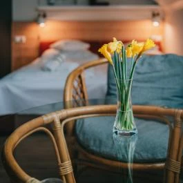 Borbarátok Panzió Badacsonytomaj - Szobák