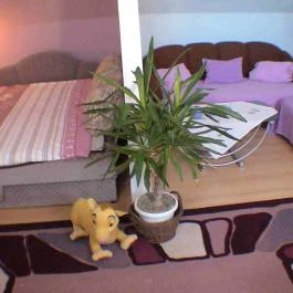 Rodoli Vendégház Badacsonytomaj - Szobák