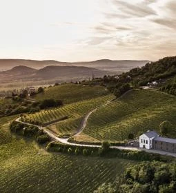 Pátzay Borvilla Badacsonytomaj