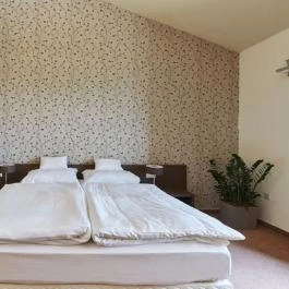 Pátzay Borvilla Badacsonytomaj Badacsonytomaj - Szobák