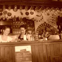 Andreas Wellness & Borház Panzió Badacsonytördemic - Egyéb