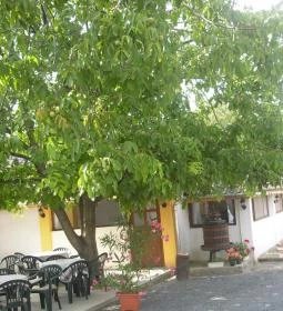 Andreas Wellness & Borház Panzió