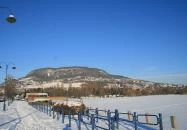 Andreas Wellness & Borház Panzió Badacsonytördemic