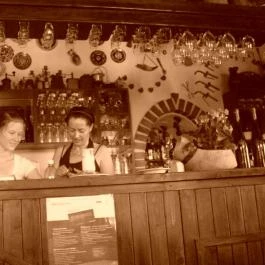 Andreas Wellness & Borház Panzió Badacsonytördemic - Vendéglátás